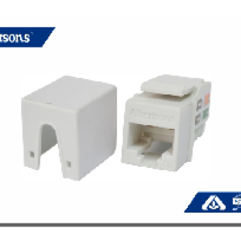 Ổ Cắm mạng ABS Cat.6A