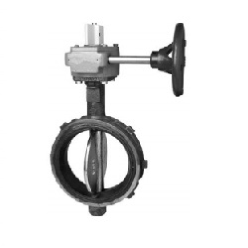 Van Bướm Tyco BFV-N (Butterfly Valve)